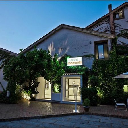 Hotel San Paolo Palinuro Exterior foto